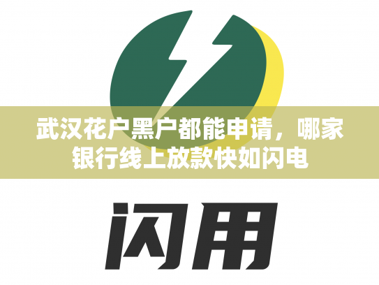 武汉花户黑户都能申请，哪家银行线上放款快如闪电