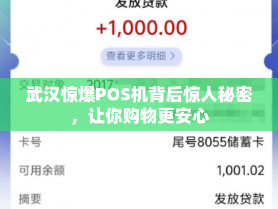 武汉惊爆POS机背后惊人秘密，让你购物更安心