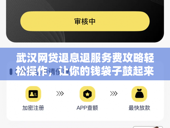 武汉网贷退息退服务费攻略轻松操作，让你的钱袋子鼓起来