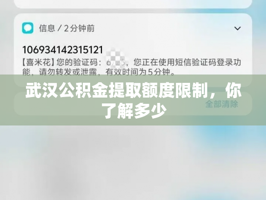 武汉公积金提取额度限制，你了解多少