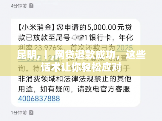 昆明,丨,网贷退款成功，这些话术让你轻松应对