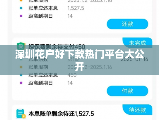 深圳花户好下款热门平台大公开