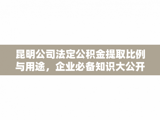 昆明公司法定公积金提取比例与用途，企业必备知识大公开