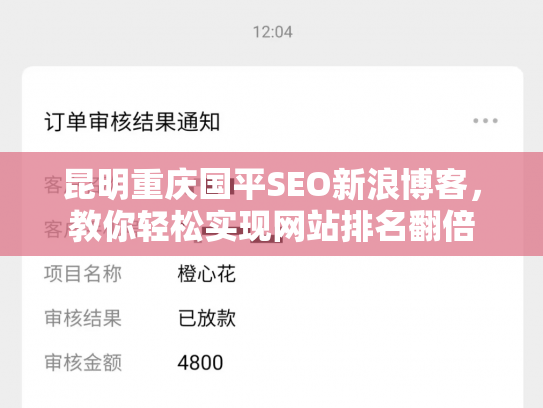 昆明重庆国平SEO新浪博客，教你轻松实现网站排名翻倍