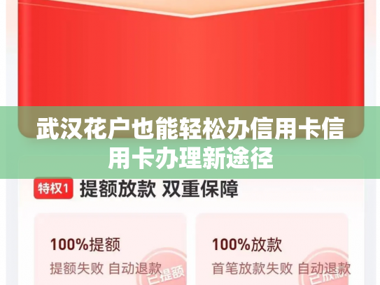 武汉花户也能轻松办信用卡信用卡办理新途径
