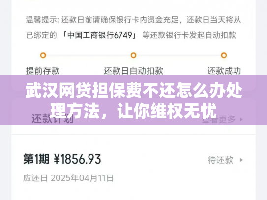 武汉网贷担保费不还怎么办处理方法，让你维权无忧