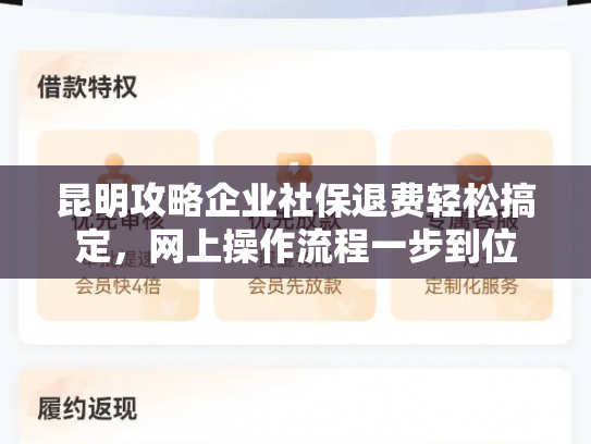 昆明攻略企业社保退费轻松搞定，网上操作流程一步到位