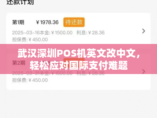 武汉深圳POS机英文改中文，轻松应对国际支付难题