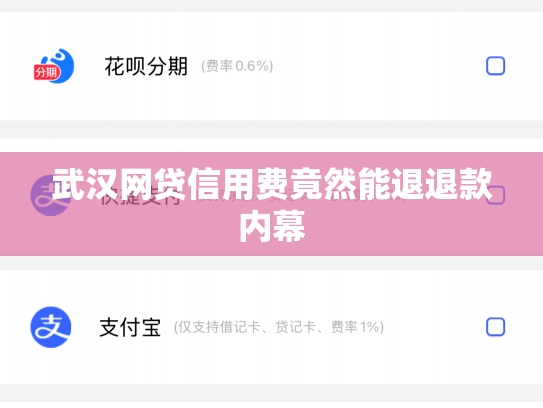 武汉网贷信用费竟然能退退款内幕