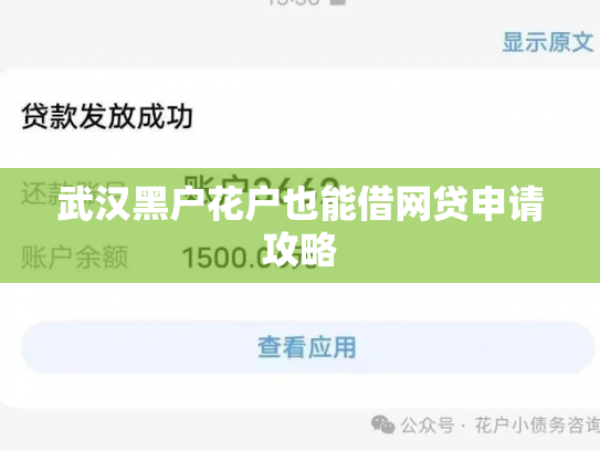 武汉黑户花户也能借网贷申请攻略