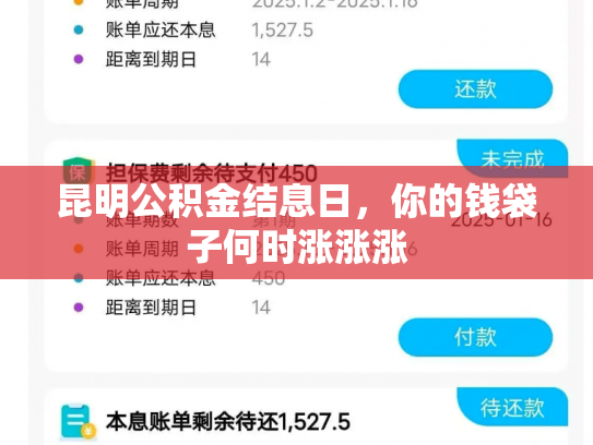 昆明公积金结息日，你的钱袋子何时涨涨涨