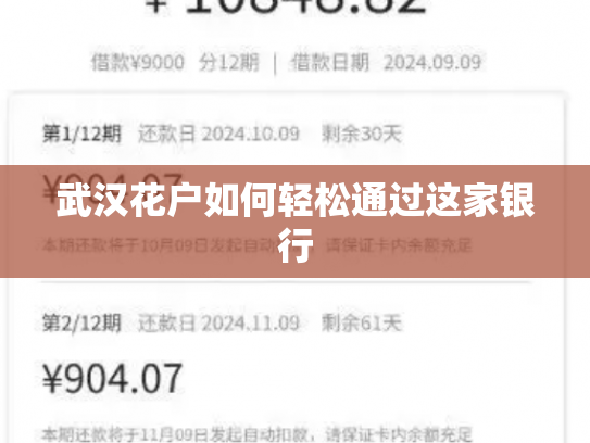 武汉花户如何轻松通过这家银行