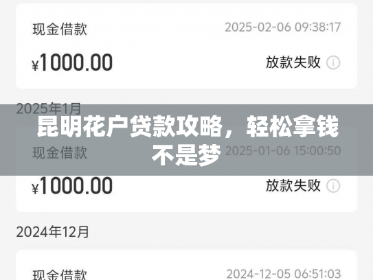 昆明花户贷款攻略，轻松拿钱不是梦