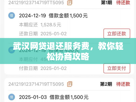 武汉网贷退还服务费，教你轻松协商攻略