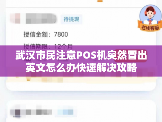 武汉市民注意POS机突然冒出英文怎么办快速解决攻略