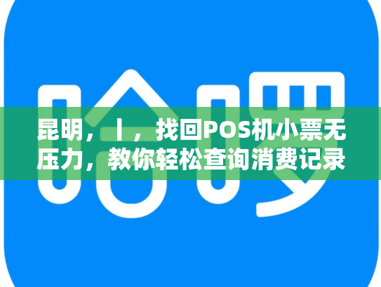 昆明，丨，找回POS机小票无压力，教你轻松查询消费记录