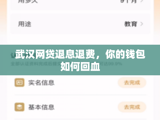 武汉网贷退息退费，你的钱包如何回血