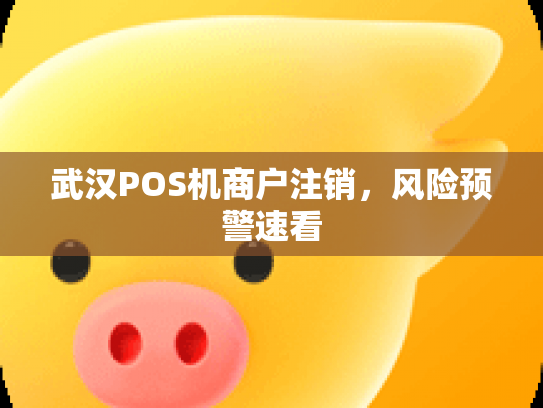 武汉POS机商户注销，风险预警速看
