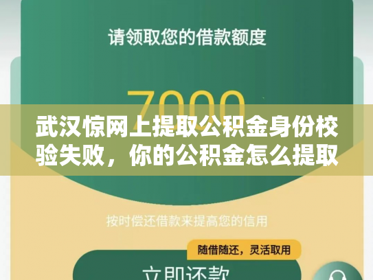武汉惊网上提取公积金身份校验失败，你的公积金怎么提取