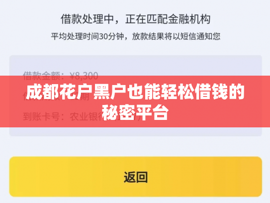 成都花户黑户也能轻松借钱的秘密平台