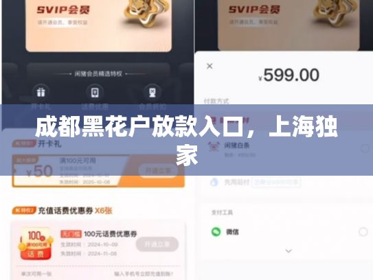 成都黑花户放款入口，上海独家