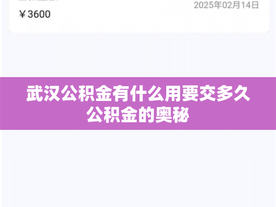 武汉公积金有什么用要交多久公积金的奥秘