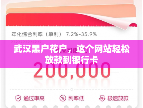 武汉黑户花户，这个网站轻松放款到银行卡