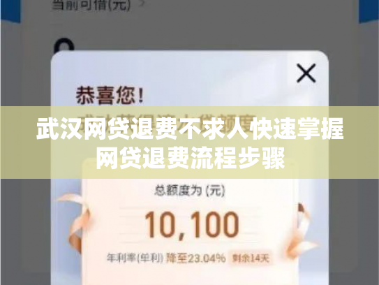 武汉网贷退费不求人快速掌握网贷退费流程步骤
