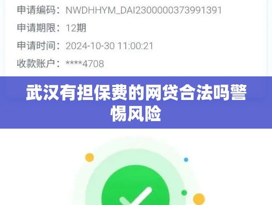 武汉有担保费的网贷合法吗警惕风险