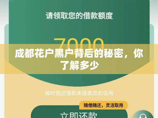 成都花户黑户背后的秘密，你了解多少