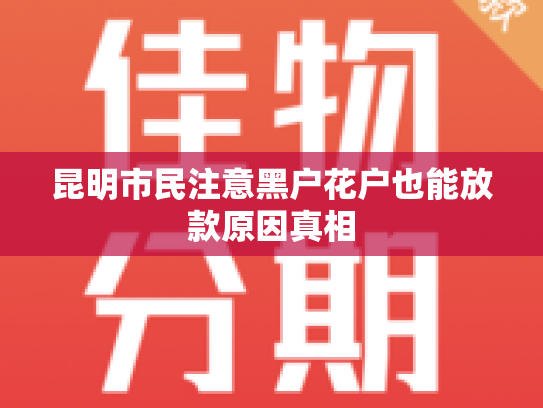 昆明市民注意黑户花户也能放款原因真相