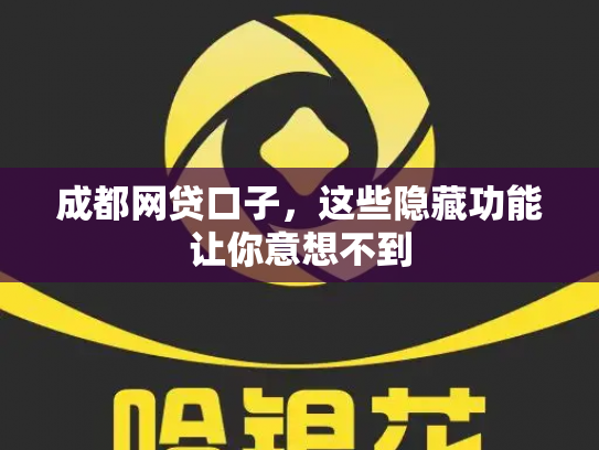成都网贷口子，这些隐藏功能让你意想不到