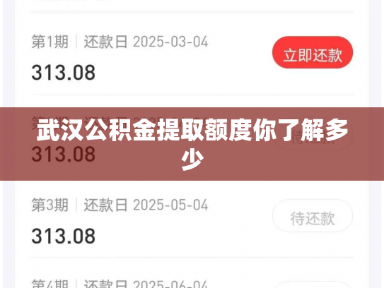 武汉公积金提取额度你了解多少