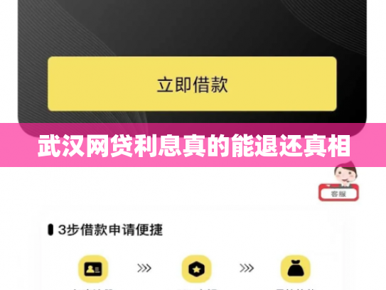 武汉网贷利息真的能退还真相