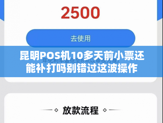昆明POS机10多天前小票还能补打吗别错过这波操作