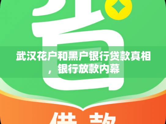 武汉花户和黑户银行贷款真相，银行放款内幕