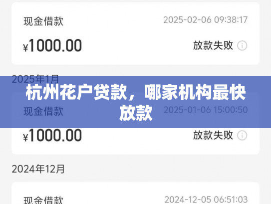 杭州花户贷款，哪家机构最快放款
