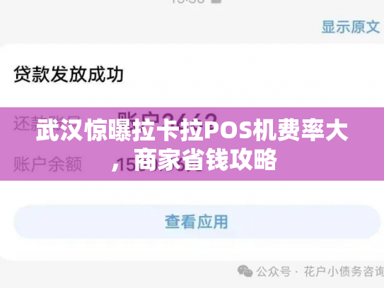 武汉惊曝拉卡拉POS机费率大，商家省钱攻略