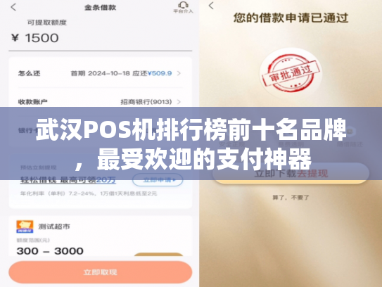 武汉POS机排行榜前十名品牌，最受欢迎的支付神器