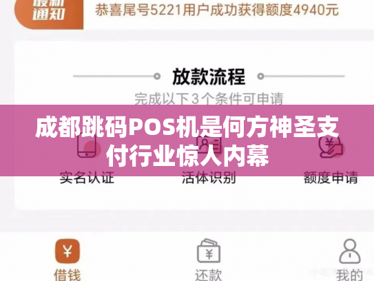成都跳码POS机是何方神圣支付行业惊人内幕