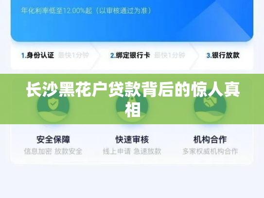 长沙黑花户贷款背后的惊人真相