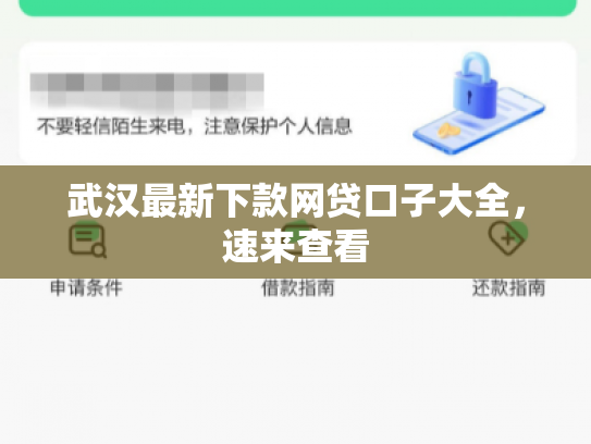 武汉最新下款网贷口子大全，速来查看
