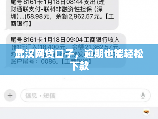 武汉网贷口子，逾期也能轻松下款