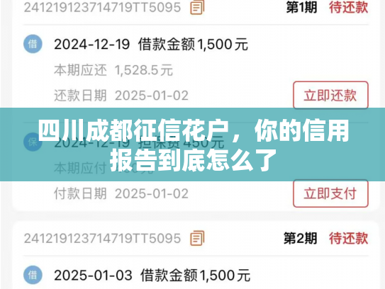 四川成都征信花户，你的信用报告到底怎么了