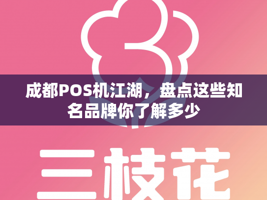 成都POS机江湖，盘点这些知名品牌你了解多少