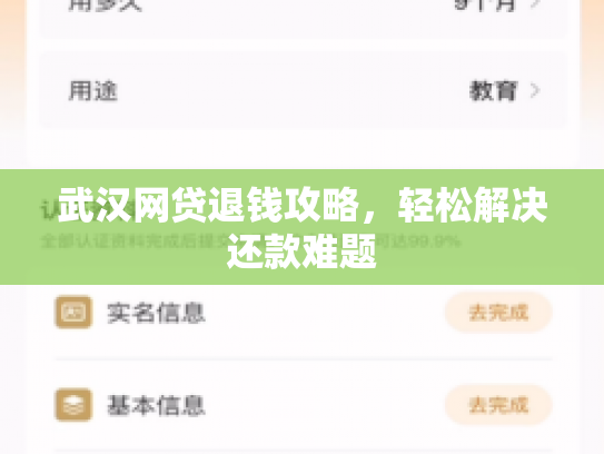 武汉网贷退钱攻略，轻松解决还款难题