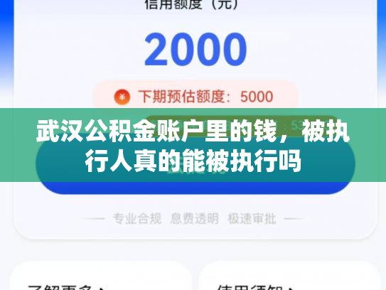 武汉公积金账户里的钱，被执行人真的能被执行吗
