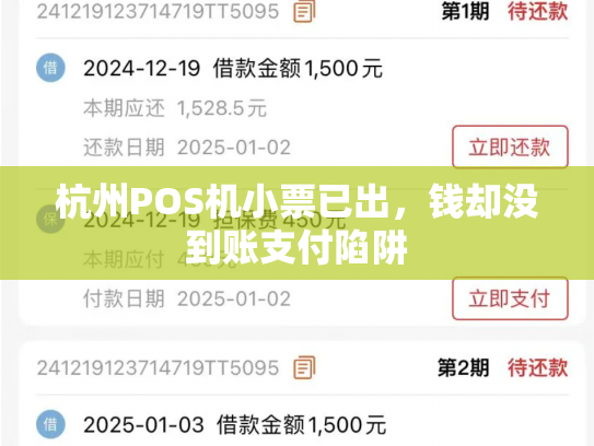 杭州POS机小票已出，钱却没到账支付陷阱