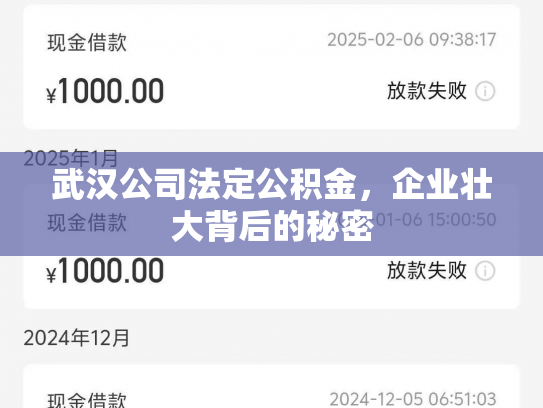 武汉公司法定公积金，企业壮大背后的秘密