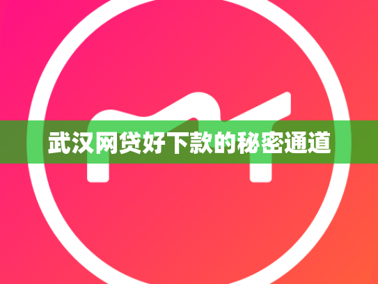 武汉网贷好下款的秘密通道